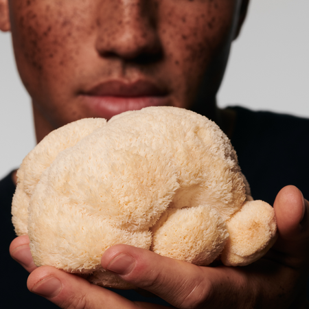 Give your health a boost with mushroom magic