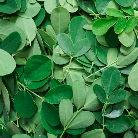 Body’s 3 hero ingredients