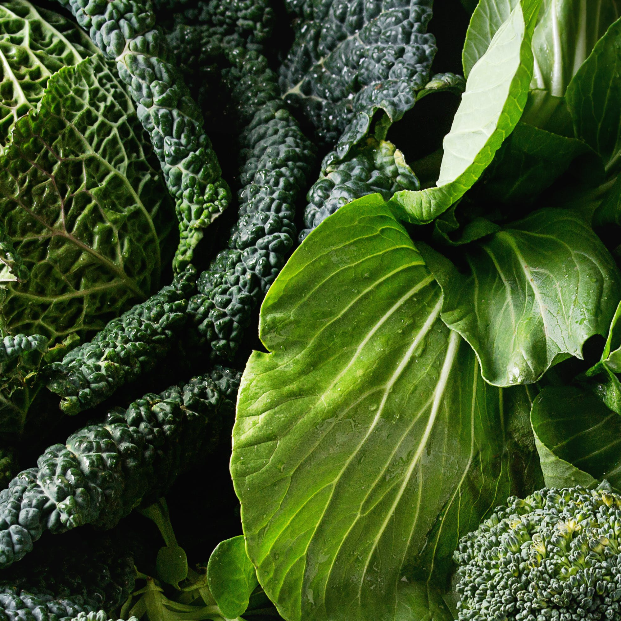 7 easy ways to eat more sustainably – INDI