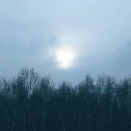 Is your gut causing your SAD?