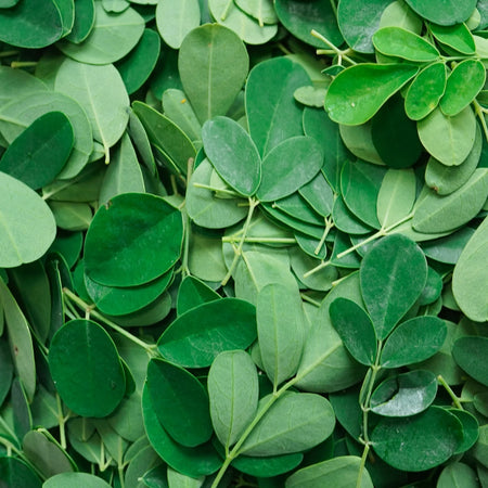 Daily Gut's 3 hero ingredients